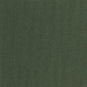 Sunbrella Fabric 46" 4671 Fern, by the yard