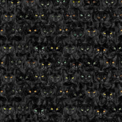 Timeless Treasures Fabric Wicked Black Cats Magic CD1831 Black 15 yard bolt