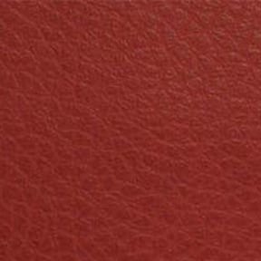 Nassimi Canyon Vinyl Red Rock by the yard