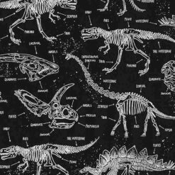 Timeless Treasures Fabric Glow In The Dark Dino CG5797 Black, by the yard