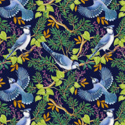 Timeless Treasures Fabric Blue Jay in Branches Rosie CD2276 Navy 15 yard bolt