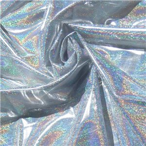 Wholesale Gala Hologram Lame Silver Dust 250 yard case