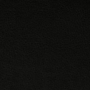 Nassimi Persuasion Vinyl Onyx, by the yard