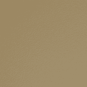 Nassimi Persuasion Vinyl Sand, by the yard