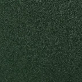 Nassimi Salinger Vinyl Bottle Green, by the yard