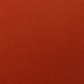 Nassimi Tolstoy Vinyl Crimson, by the yard