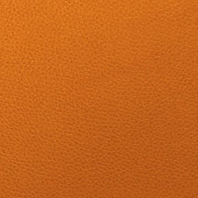 Nassimi Tolstoy Vinyl Kumquat, by the yard