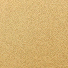 Nassimi Tolstoy Vinyl Parchment, by the yard