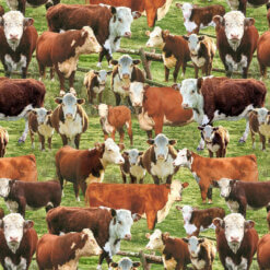 Timeless Treasures Fabric Hereford Cows In Corral West-CD3341 Multi 15 yard bolt