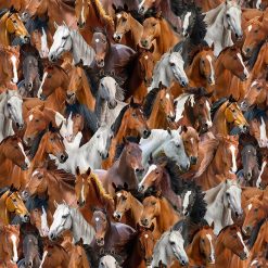 Timeless Treasures Fabric West CD3861 Brown, by the yard
